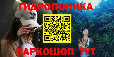 МДПВ Можга