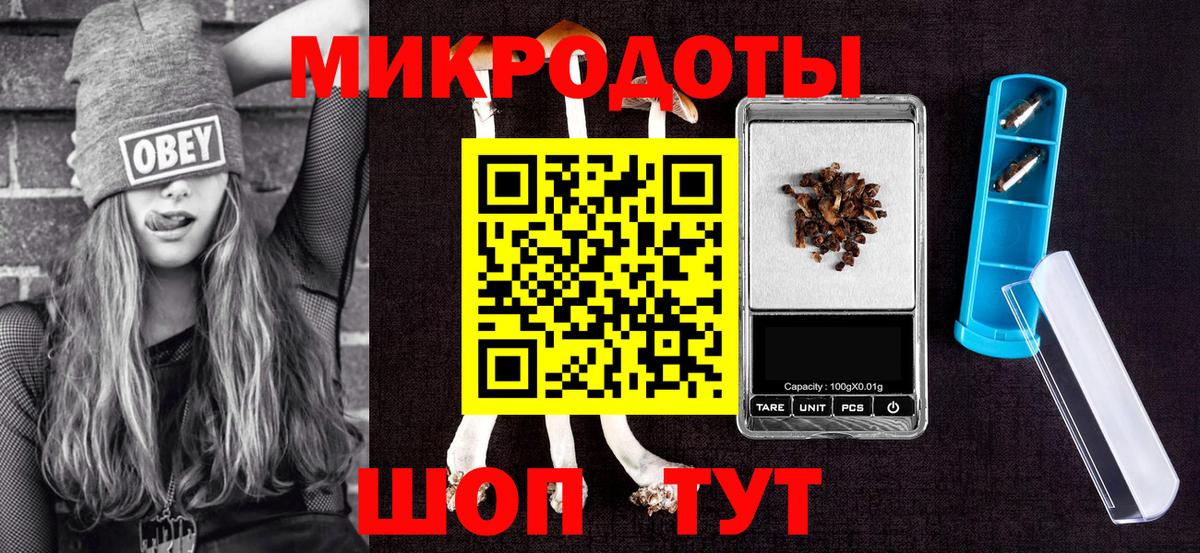 Галлюциногенные грибы Psilocybe Бугульма